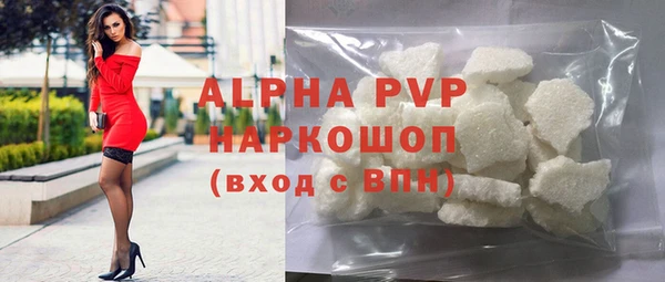 прущие крисы Горняк
