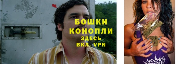 прущие крисы Горняк