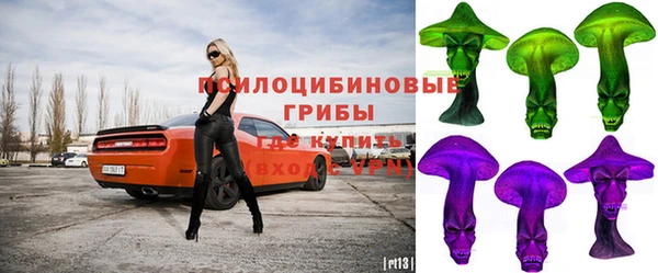 2c-b Верхний Тагил