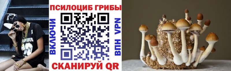 Галлюциногенные грибы мухоморы Жердевка